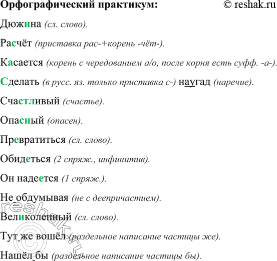 Изображение Орфографический практикум 52 ГДЗ Рыбченкова Александрова 7 класс